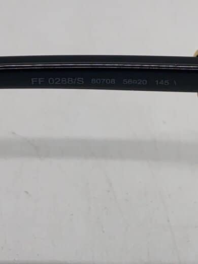 商品画像：サングラス/BLK/BLU/メンズ/FF0288/S 5