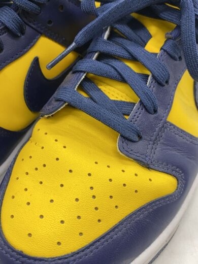 商品画像：DUNK LOW RETRO_ダンク ロー レトロ/28cm/YLW// 7