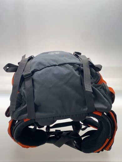 商品画像：COUGAR 40-55/バックパック/リュック/ナイロン 4