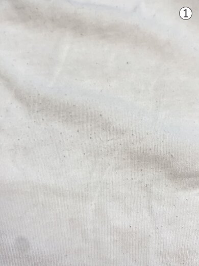 商品画像：Tシャツ/S/コットン/WHT/FCRB-230076// 6