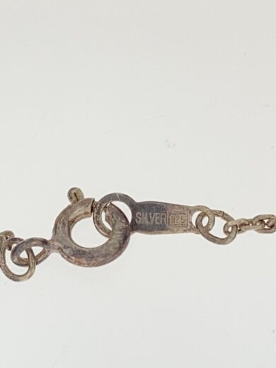 商品画像：ネックレス/SV925/SLV/トップ有/レディース 6