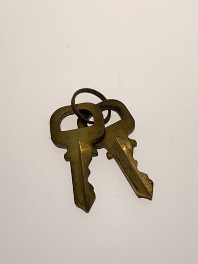 画像：LOUIS VUITTONバッグ/--/BRW/総柄/金具サビ有8