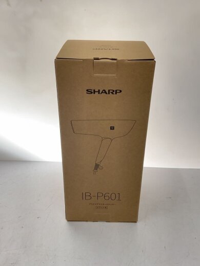 商品画像：ドライヤー・ヘアアイロン IB-P601 5