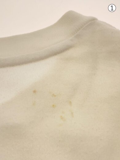 商品画像：Tシャツ/M/コットン/WHT/無地 5