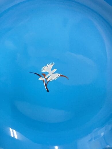 商品画像：皿/5点セット 3