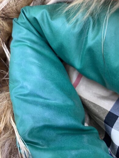 商品画像：首回り汚れ有/前立て汚れ有/フーデットダウンベスト/38//FYF02-592-60// 6