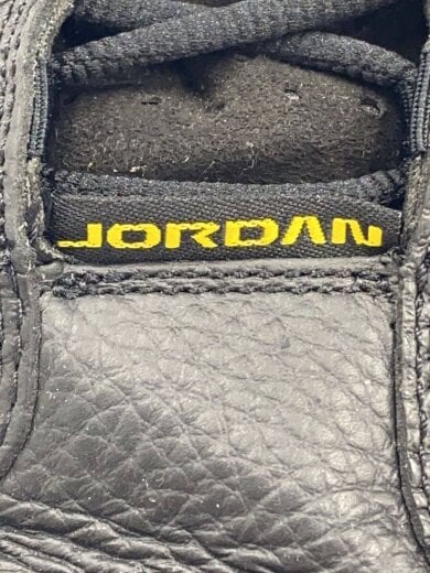 商品画像：AIR JORDAN 13 RETRO_エア ジョーダン 13 レトロ/28cm/BLK 6