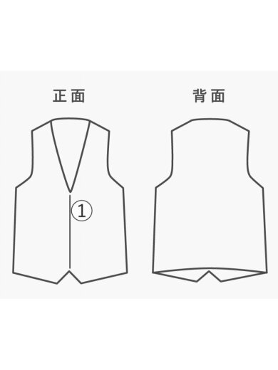 商品画像：ダウンベスト/L/ナイロン/GRY/NF0A3JQQ// 6