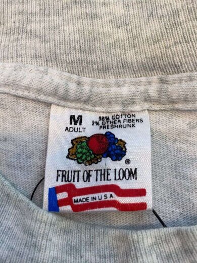 商品画像：sturgis  daytona beach 1995・Tシャツ/M/コットン/GRY・ボディ汚れ 3