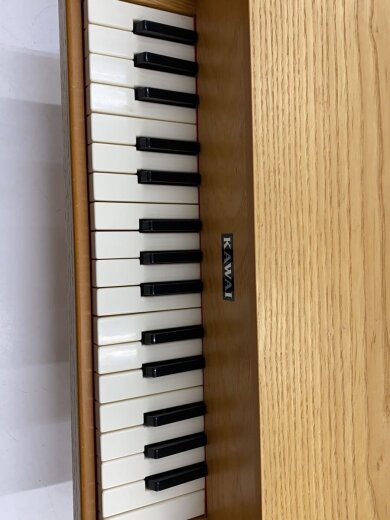 商品画像：鍵盤楽器その他 6
