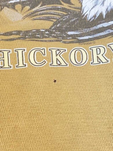 商品画像：サーマル/鷹/長袖Tシャツ/L/コットン/BEG 3