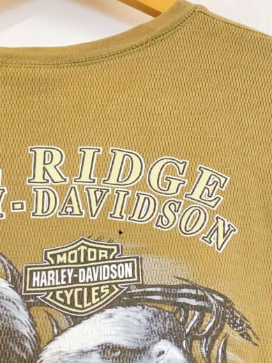 商品画像：サーマル/鷹/長袖Tシャツ/L/コットン/BEG 4