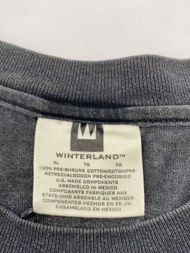 商品画像：LED-ZEPPELIN/Tシャツ/XL/コットン/GRY/バンドt/両面// 3