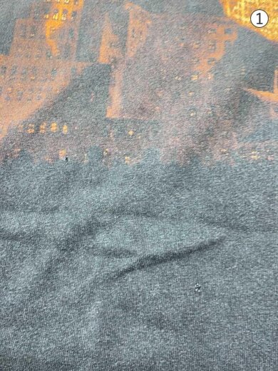 商品画像：LED-ZEPPELIN/Tシャツ/XL/コットン/GRY/バンドt/両面// 5