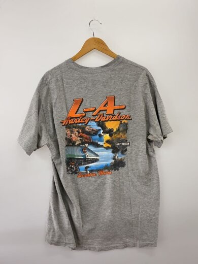 商品画像：LA スカルフレイム Tシャツ/L/GRY 2
