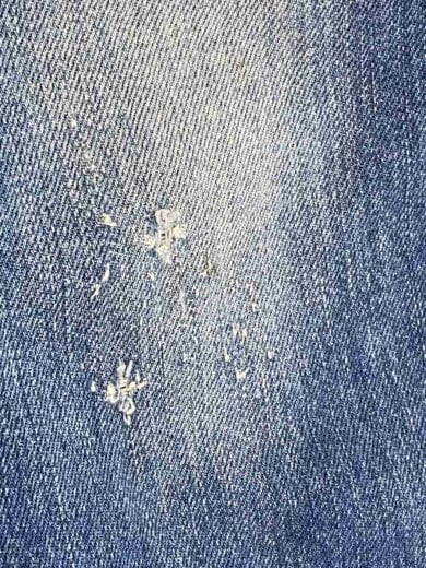 商品画像：ボトム/31/コットン/IDG/0263AP20 7