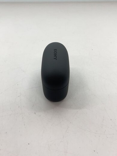 商品画像：イヤホン・ヘッドホン LinkBuds S WF-LS900N (B) [ブラック] 2