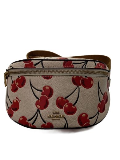 商品画像：ショルダーバッグ/レザー/CRM/総柄/CB610 1