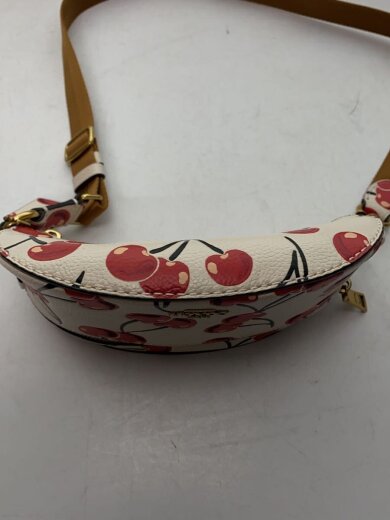 商品画像：ショルダーバッグ/レザー/CRM/総柄/CB610 4