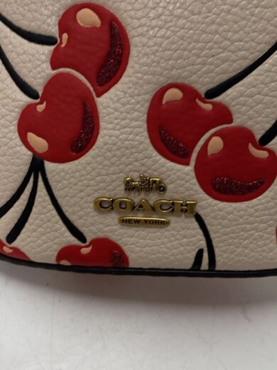 商品画像：ショルダーバッグ/レザー/CRM/総柄/CB610 5