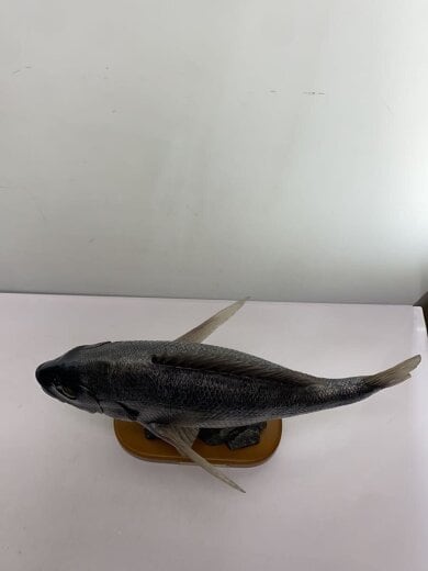 商品画像：Favorite/インテリア雑貨/BLK 5