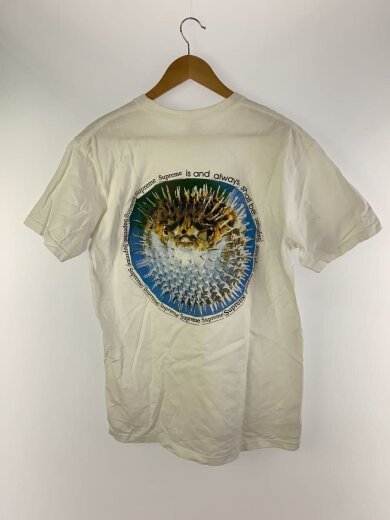 商品画像：BlowFish Tee/Tシャツ/L/コットン/WHT 2
