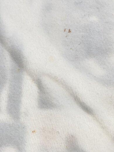 商品画像：THE X FILES/Tシャツ/XL/コットン/WHT// 5