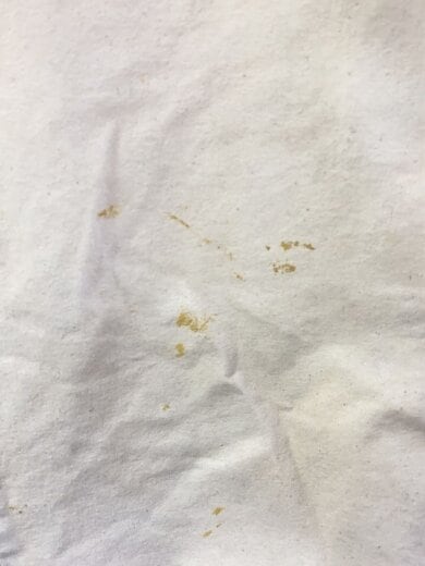 商品画像：ペインターパンツ/--/コットン/CRM// 5