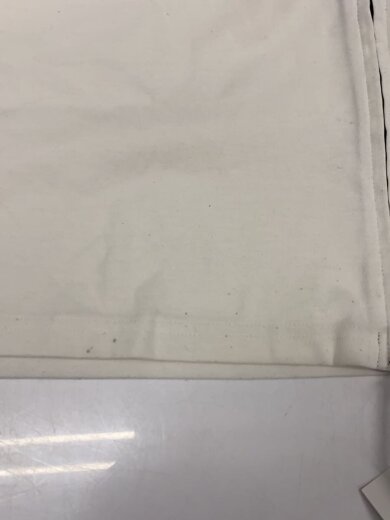 商品画像：Tシャツ/L/ポリエステル/WHT/NT391HY 7