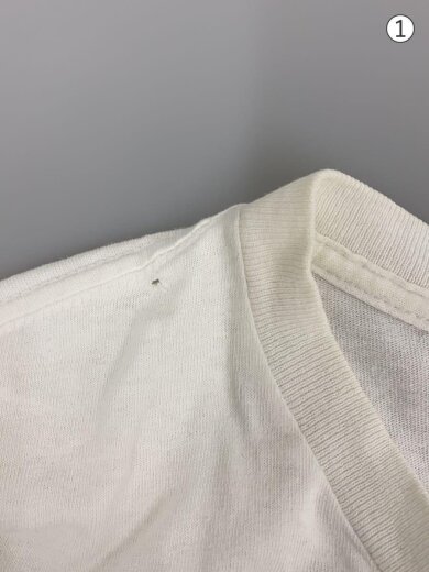 画像：STUSSYTシャツ/L/コットン/WHT6