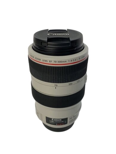 商品画像：レンズ EF70-300mm F4-5.6L IS USM 1