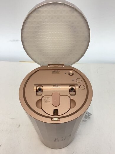 商品画像：LEDスチーム美顔器 フォトスチーマー IS-100P// 6