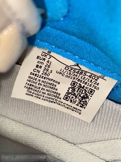 商品画像：AIR JORDAN 1 HIGH OG_エア ジョーダン 1 HIGH OG/26cm/BLU 5