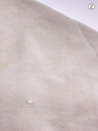 商品画像：Tシャツ/L/コットン/WHT 6