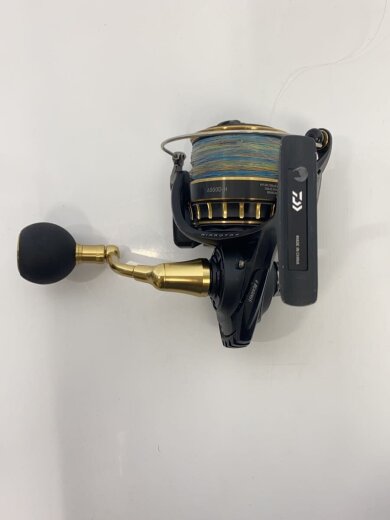 商品画像：6000D-H BLAST/リール/スピニングリール/6000D-H/ダイワ 2