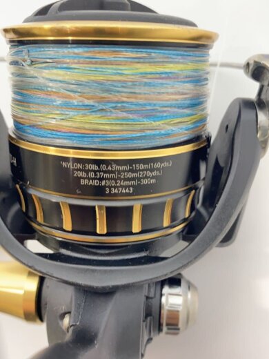 商品画像：6000D-H BLAST/リール/スピニングリール/6000D-H/ダイワ 8