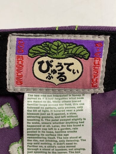 商品画像：Vapor 6 Panel Hat/キャップ/コットン/PUP/メンズ// 5