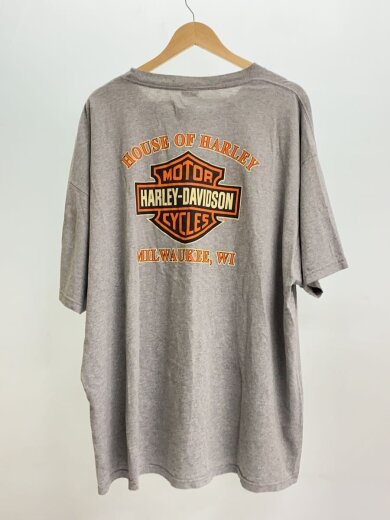 商品画像：USA製/Tシャツ/3L/コットン/GRY// 2