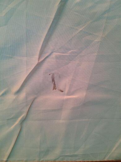 画像：Colemanテント5