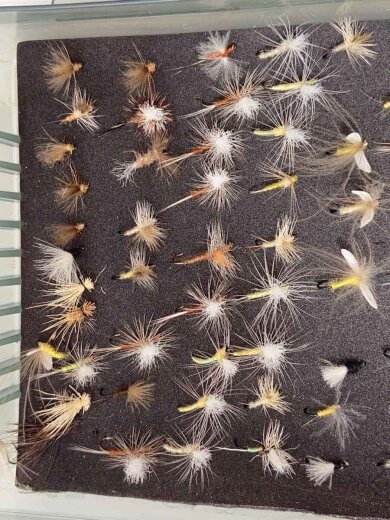 商品画像：フィッシングその他 2