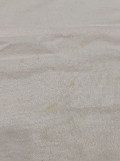 商品画像：Tシャツ/M/コットン/WHT 9