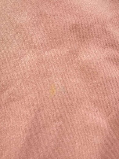 商品画像：カットオフスウェット/1/コットン/PNK/無地/A20AP05SM 7