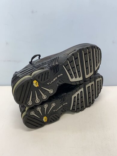 商品画像：AIR MAX PLUS 3/29cm/GRY 6