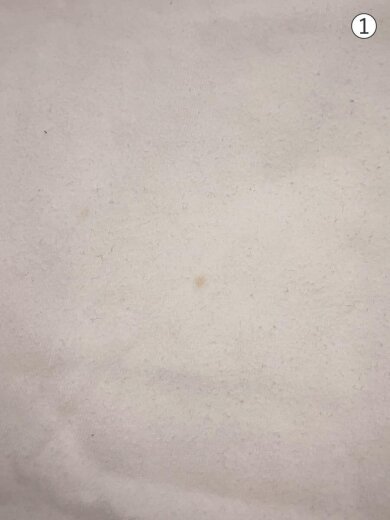 商品画像：Shadow tee/Tシャツ/L/コットン/WHT 5