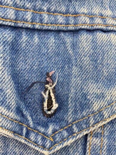 商品画像：70-80s/VT/70505/実寸38位/デニム/インディゴ/汚れ有/ボタン裏1 9