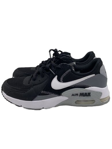 商品画像：AIR MAX EXCEE_エア マックス エクシー/27cm/BLK// 1