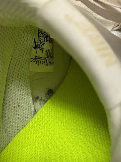 商品画像：DUNK LOW NEXT NATURE_ダンク ロー ネクスト ネイチャー/28cm/BEG 5