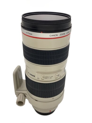 商品画像：レンズ EF70-200mm F2.8L IS II USM 1