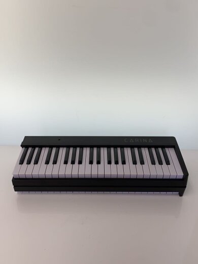 商品画像：電子ピアノ 2
