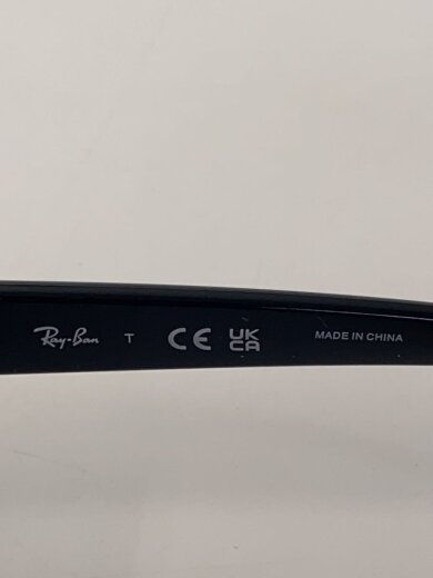 商品画像：サングラス/BLK/BLK/メンズ/RBb4421D 6